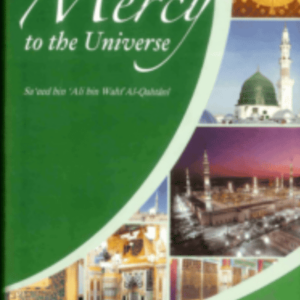 A Mercy To The Universe - Image 1