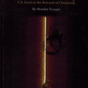 Beyond Mere Christianity - Image 1