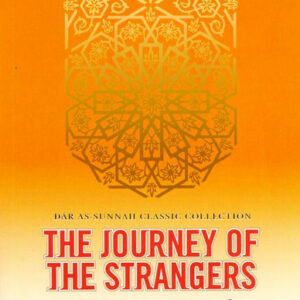 The Journey of the Strangers - Image 4