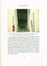 Educating Muslim Women: The West African Legacy of Nana Asma'u 1793-1864 - Image 2