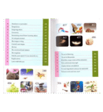 Enjoy Your Life : Colour : Darussalam - Image 2